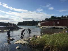 Snorkeling in the Askö bay